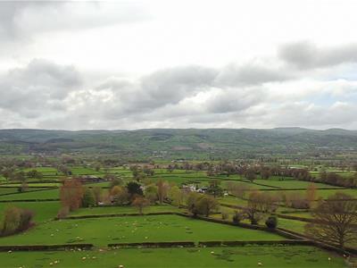 Picture 31